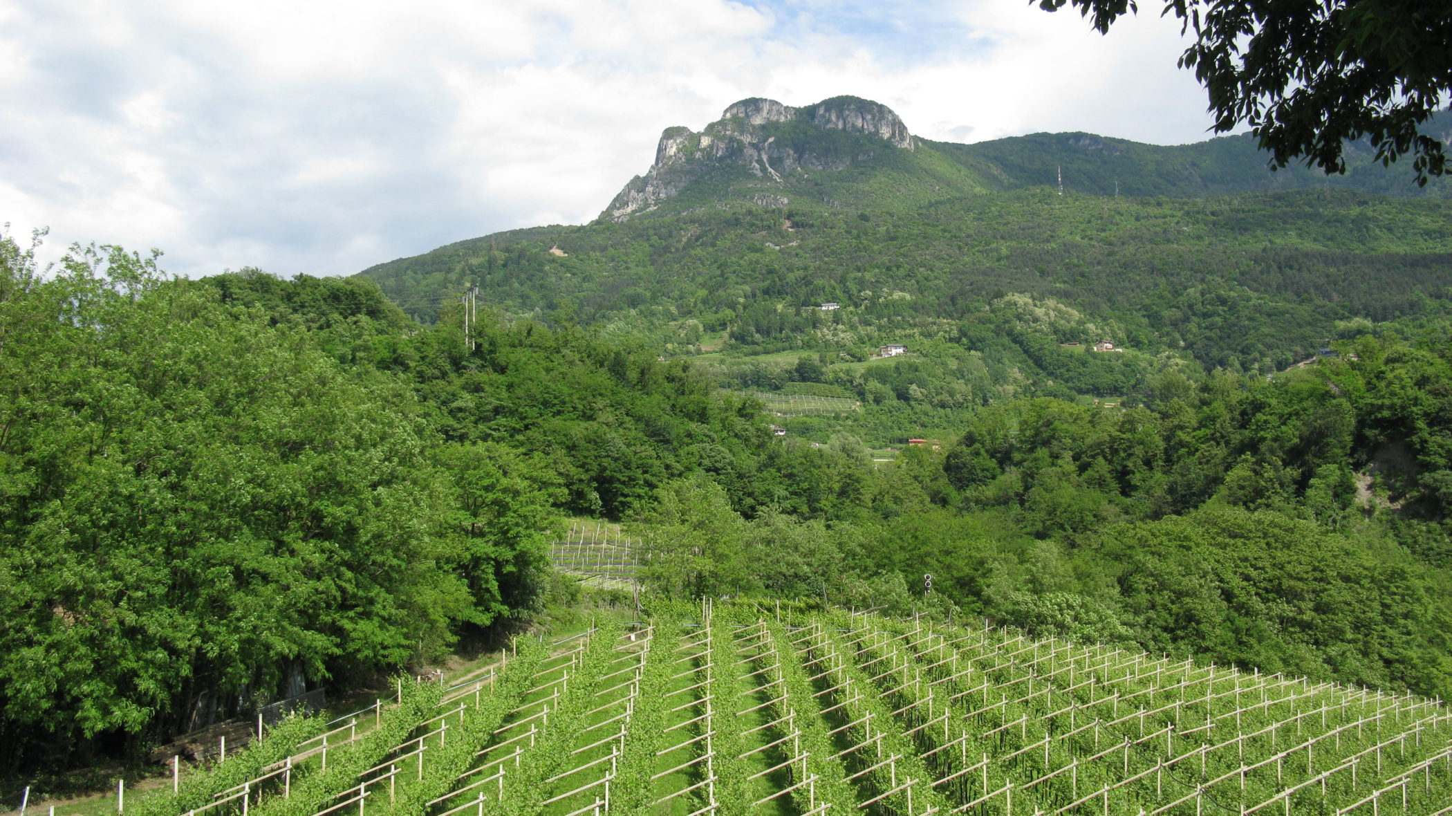 Documento "Nutrire Trento" presentato in Commissione consiliare agricoltura, ambiente e turismo