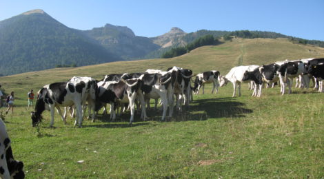 Interrogazione: stato di avanzamento del Progetto “Parco Naturale del Monte Bondone”